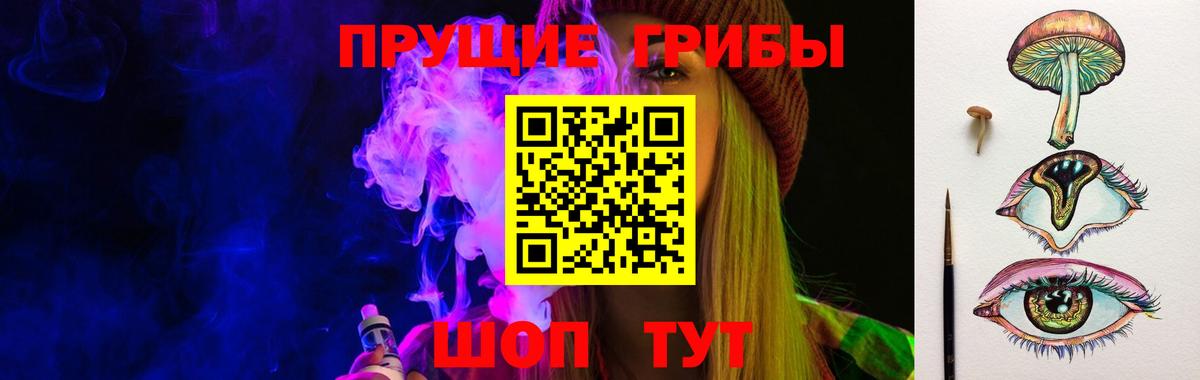 Галлюциногенные грибы мухоморы  Псилоцибиновые грибы MAGIC MUSHROOMS  Куйбышев  цены наркотик  Вход с VPN 